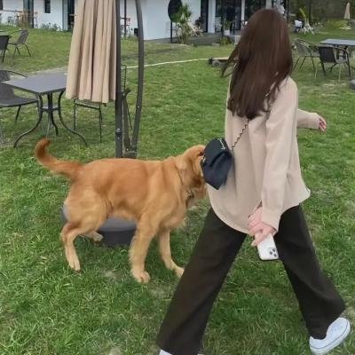 提防小手